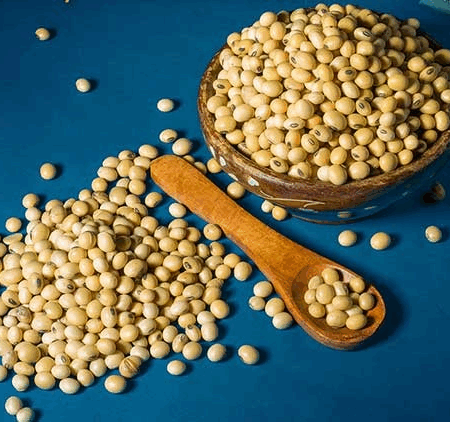 Organic Soyabean (Soya Bean)